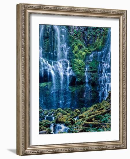 Scenic view of waterfall in a forest, Lower Proxy Falls, Three Sisters Wilderness, Willamette Na...-null-Framed Photographic Print