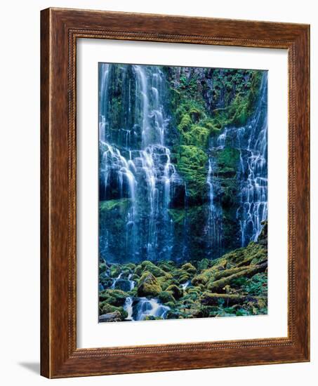 Scenic view of waterfall in a forest, Lower Proxy Falls, Three Sisters Wilderness, Willamette Na...-null-Framed Photographic Print