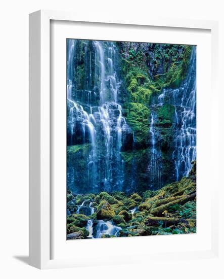 Scenic view of waterfall in a forest, Lower Proxy Falls, Three Sisters Wilderness, Willamette Na...-null-Framed Photographic Print