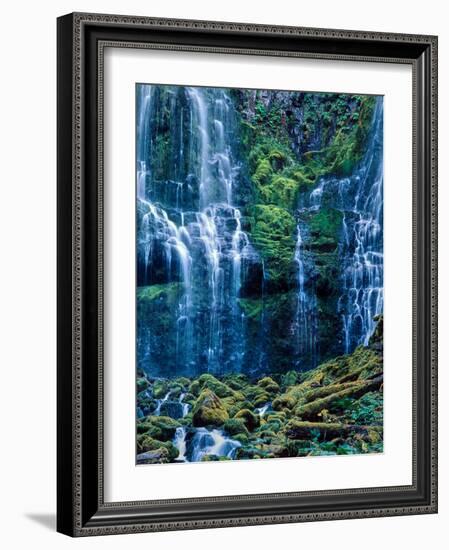 Scenic view of waterfall in a forest, Lower Proxy Falls, Three Sisters Wilderness, Willamette Na...-null-Framed Photographic Print