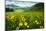 Scenic View of Wildflowers in a Field, Crested Butte, Colorado, USA-null-Mounted Photographic Print