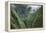 Scenic Views of Kauai's Interior Rain Forests from Above-Micah Wright-Framed Premier Image Canvas