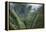 Scenic Views of Kauai's Interior Rain Forests from Above-Micah Wright-Framed Premier Image Canvas