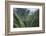 Scenic Views of Kauai's Interior Rain Forests from Above-Micah Wright-Framed Photographic Print