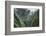 Scenic Views of Kauai's Interior Rain Forests from Above-Micah Wright-Framed Photographic Print