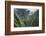 Scenic Views of Kauai's Interior Rain Forests from Above-Micah Wright-Framed Photographic Print