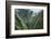Scenic Views of Kauai's Interior Rain Forests from Above-Micah Wright-Framed Photographic Print