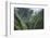 Scenic Views of Kauai's Interior Rain Forests from Above-Micah Wright-Framed Photographic Print