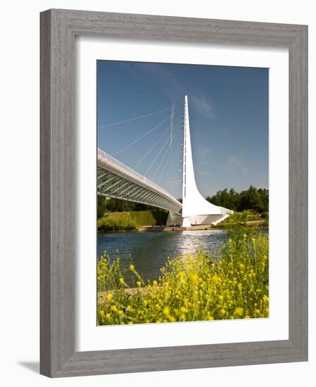 Scenic Walking Bridge over the Sacrament River, Redding, California-Michele Westmorland-Framed Photographic Print
