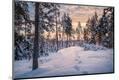 Premium Photographic Print