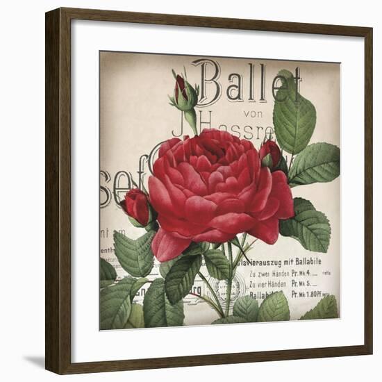 Scent of a Rose I-Sabine Berg-Framed Art Print