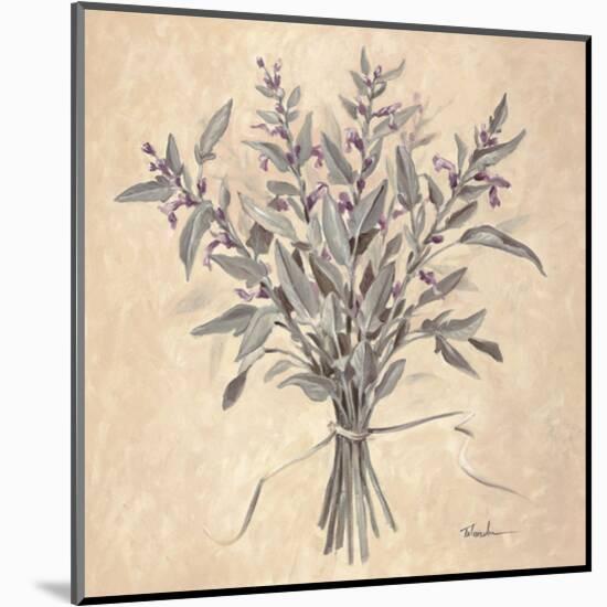 Scent of Sage-Todd Telander-Mounted Art Print