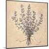 Scent of Thyme-Todd Telander-Mounted Art Print