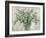 Scented Eucalyptus Neutral-Danhui Nai-Framed Art Print