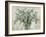 Scented Eucalyptus Neutral-Danhui Nai-Framed Art Print