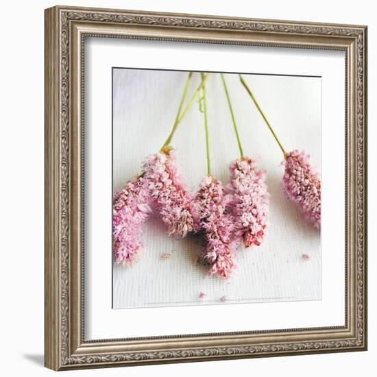 Scented Powdered-Amelie Vuillon-Framed Art Print