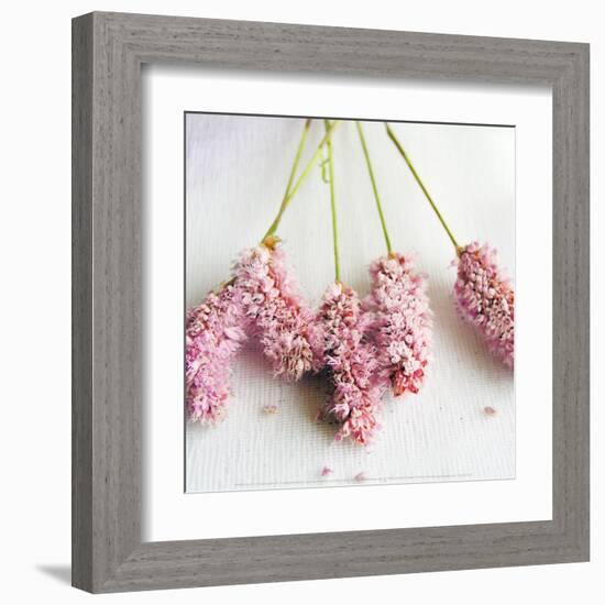 Scented Powdered-Amelie Vuillon-Framed Art Print