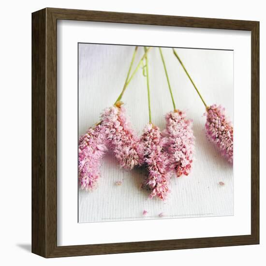 Scented Powdered-Amelie Vuillon-Framed Art Print