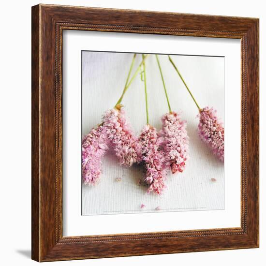 Scented Powdered-Amelie Vuillon-Framed Art Print