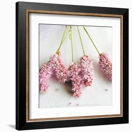 Scented Powdered-Amelie Vuillon-Framed Art Print