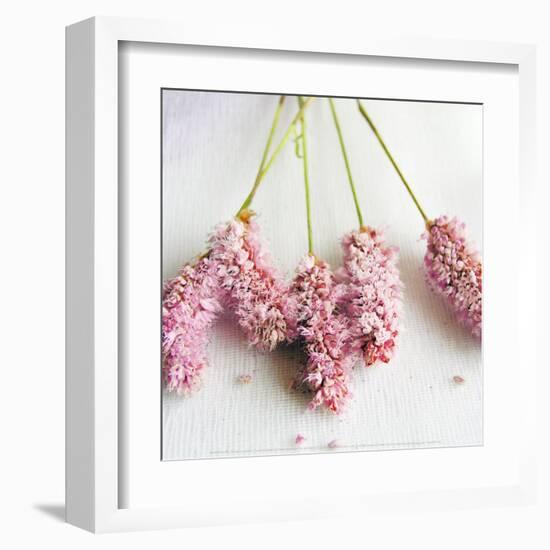 Scented Powdered-Amelie Vuillon-Framed Art Print