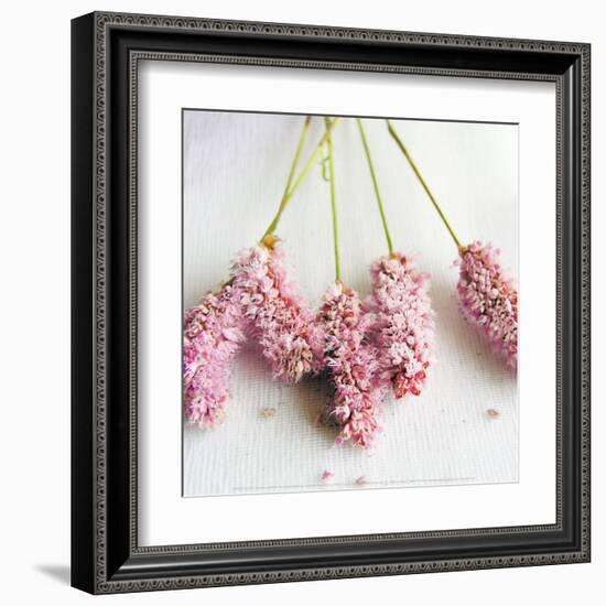 Scented Powdered-Amelie Vuillon-Framed Art Print