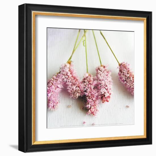 Scented Powdered-Amelie Vuillon-Framed Art Print