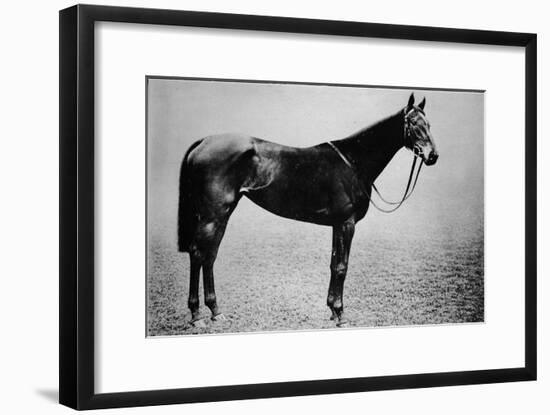 'Sceptre', 1899-1926, (1911)-Unknown-Framed Giclee Print
