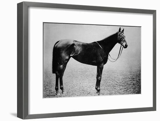 'Sceptre', 1899-1926, (1911)-Unknown-Framed Giclee Print