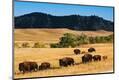 Premium Photographic Print