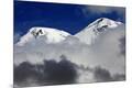 Premium Photographic Print