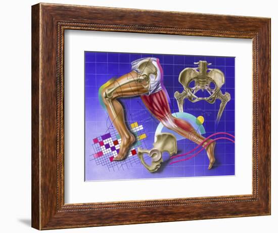 Schematic Showing Hip and Leg Motion-null-Framed Premium Giclee Print