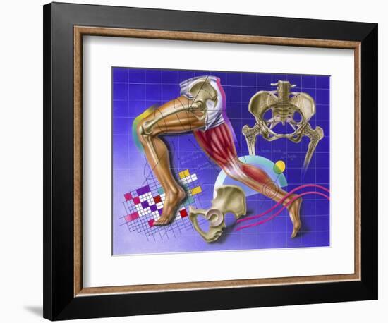 Schematic Showing Hip and Leg Motion-null-Framed Premium Giclee Print