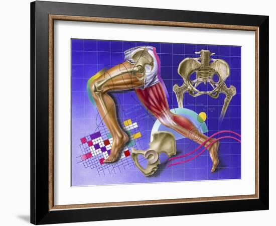 Schematic Showing Hip and Leg Motion-null-Framed Art Print