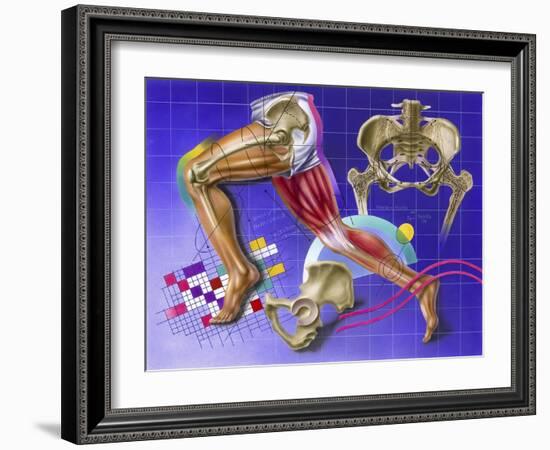 Schematic Showing Hip and Leg Motion-null-Framed Art Print