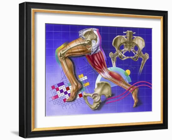 Schematic Showing Hip and Leg Motion-null-Framed Art Print