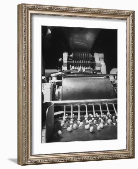 Schering Pharmaceutical Plant Where Machine Brands Tranquilizers with Co. Trademark-Ralph Morse-Framed Photographic Print