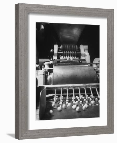 Schering Pharmaceutical Plant Where Machine Brands Tranquilizers with Co. Trademark-Ralph Morse-Framed Photographic Print