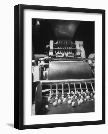 Schering Pharmaceutical Plant Where Machine Brands Tranquilizers with Co. Trademark-Ralph Morse-Framed Photographic Print