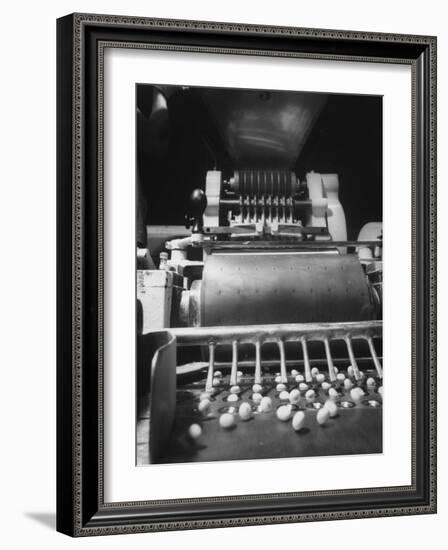 Schering Pharmaceutical Plant Where Machine Brands Tranquilizers with Co. Trademark-Ralph Morse-Framed Photographic Print