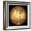 Schiaparelli's Observations of Mars-Detlev Van Ravenswaay-Framed Photographic Print