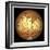 Schiaparelli's Observations of Mars-Detlev Van Ravenswaay-Framed Photographic Print