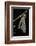 Schistocerca Gregaria (Desert Locust) - Emerging-Paul Starosta-Framed Photographic Print