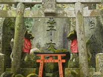 Stone Torii, Tosho-Gu Shrine, Nikko, Central Honshu, Japan-Schlenker Jochen-Framed Photographic Print