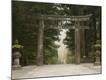 Premium Photographic Print