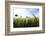 Schleswig-Holstein, Landscape, Field, Barley-Catharina Lux-Framed Photographic Print