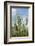 Schleswig-Holstein, Landscape, Field, Barley-Catharina Lux-Framed Photographic Print