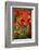 Schleswig-Holstein, Poppy Field-Catharina Lux-Framed Photographic Print