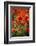 Schleswig-Holstein, Poppy Field-Catharina Lux-Framed Photographic Print