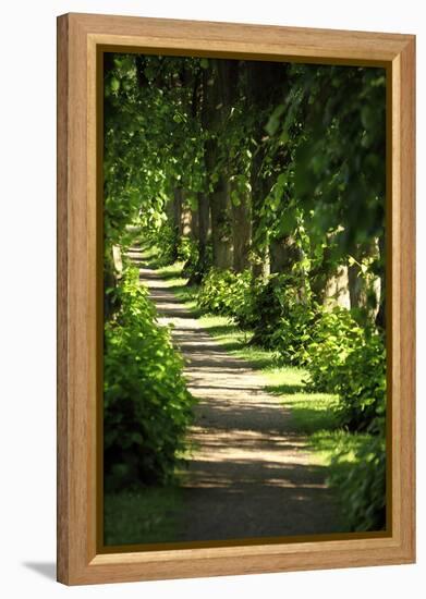 Schleswig-Holstein, Sieseby, Path Through Old Cemetery-Catharina Lux-Framed Premier Image Canvas